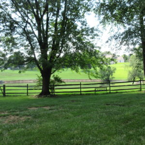 Backyard with a View